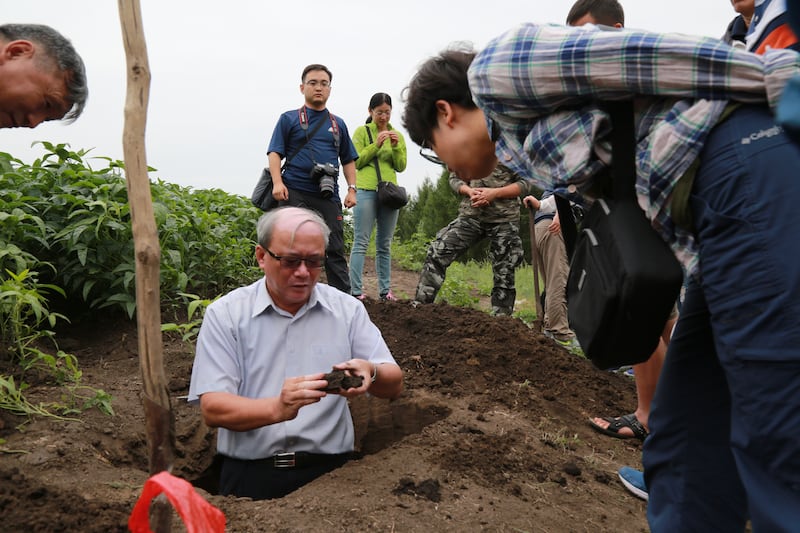 台湾大学农业化学系名誉教授陈尊贤(中)考察东北万亩田试验区。