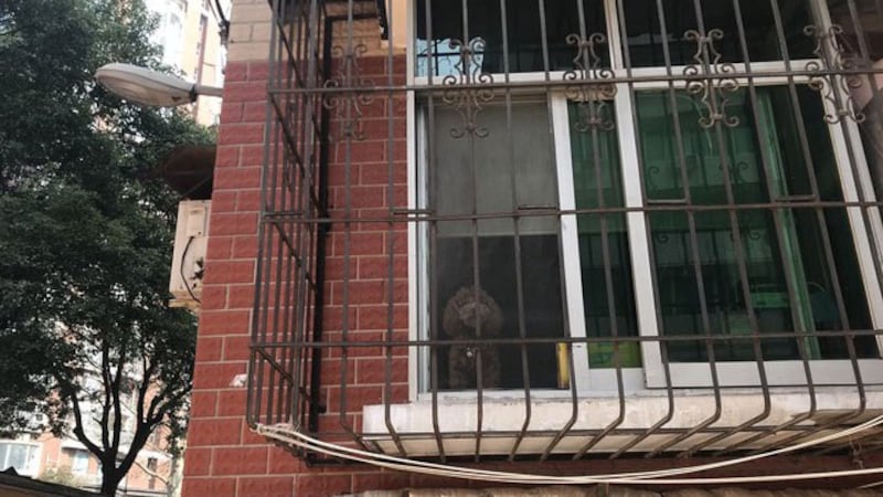 3月15日。(郭晶拍摄)