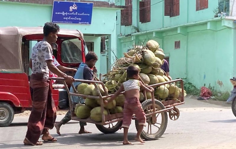 Rohingya youths and children sell coconut juice in Maungdaw in October 2023. (RFA)